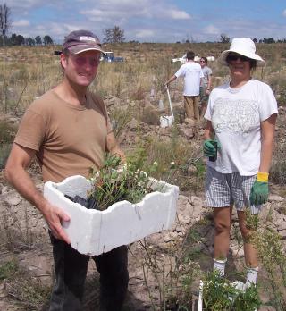 Mike planting at Greening Australia Mt Stromlo